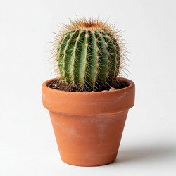 Similar image 22433955