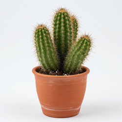 Similar image 22433958