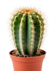 Similar image 22433960