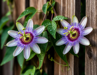 Similar image 22434168