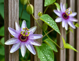 Similar image 22434169