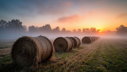 Similar image 22434178