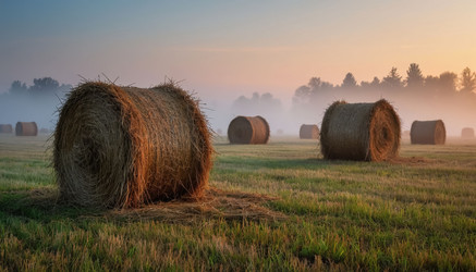 Similar image 22434179