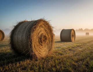 Similar image 22434186