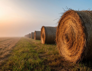 Similar image 22434188