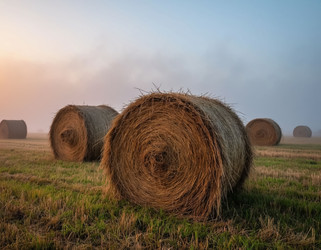 Similar image 22434191