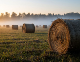 Similar image 22434195