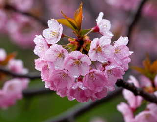 Similar image 22434202