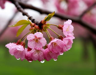 Similar image 22434231