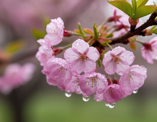 Similar image 22434233