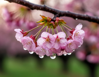 Similar image 22434235