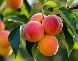 Similar image 22434268