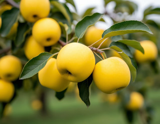 Similar image 22434275