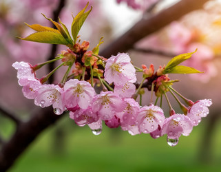 Similar image 22434278