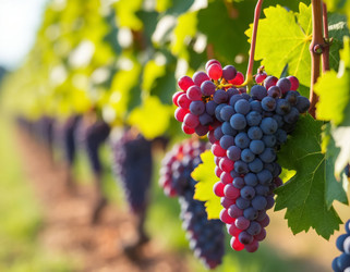 Similar image 22434338