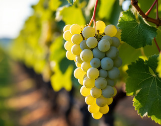 Similar image 22434348