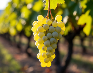 Similar image 22434352