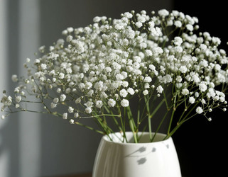 Similar image 22434415