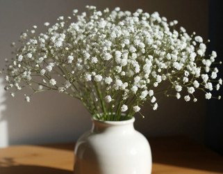 Similar image 22434417