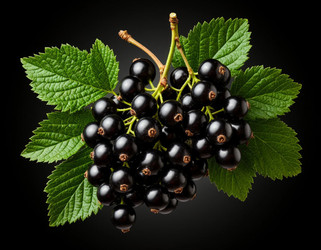 Similar image 22434471