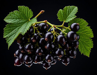 Similar image 22434473