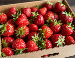 Similar image 22434494