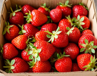 Similar image 22434496