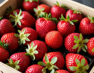 Similar image 22434498