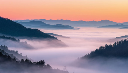 Similar image 22434542