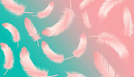 Similar image 22434559