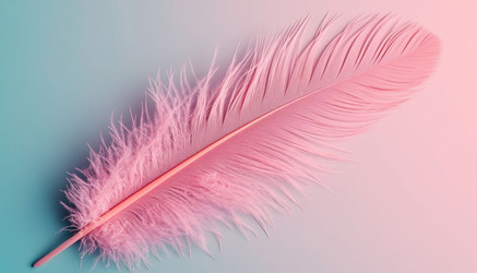 Similar image 22434573