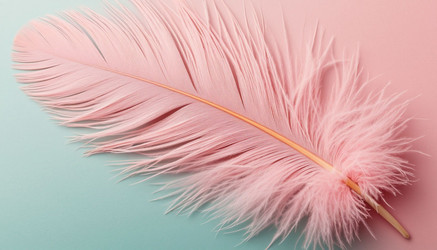 Similar image 22434577