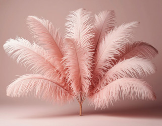 Similar image 22434593