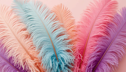 Similar image 22434609