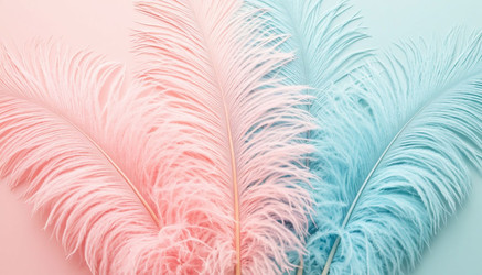 Similar image 22434617