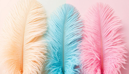 Similar image 22434624