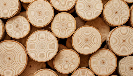 Similar image 22434647