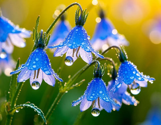 Similar image 22440800