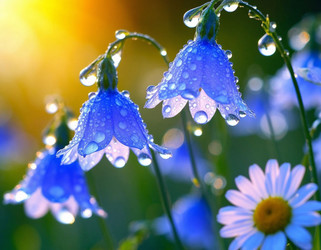 Similar image 22440806