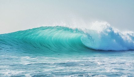 Similar image 22440884