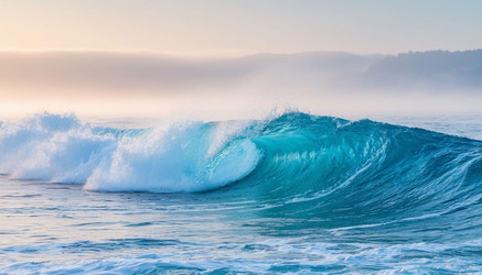 Similar image 22440896