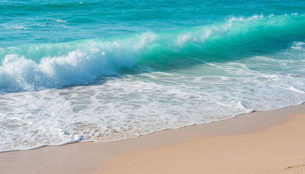 Similar image 22440898