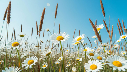 Similar image 22440913