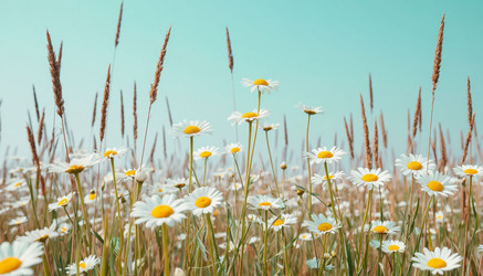 Similar image 22440915