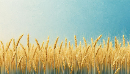 Similar image 22440948