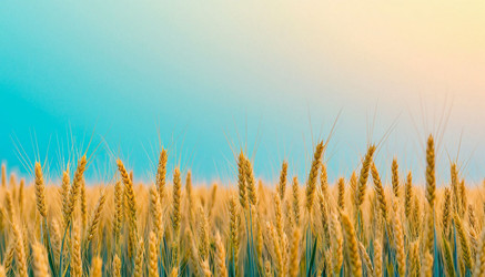 Similar image 22440950