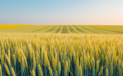 Similar image 22440954