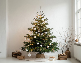 Similar image 22441042