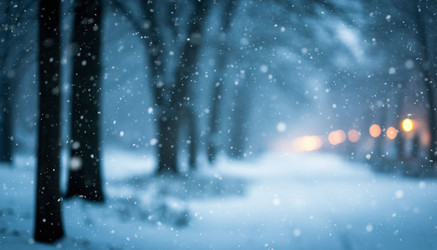 Similar image 22441045