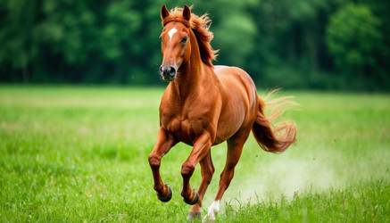 Similar image 22441159